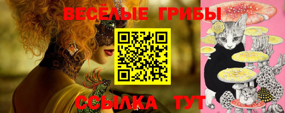 Полысаево  Псилоцибиновые грибы Magic Shrooms  Вход с VPN  Галлюциногенные грибы прущие грибы 